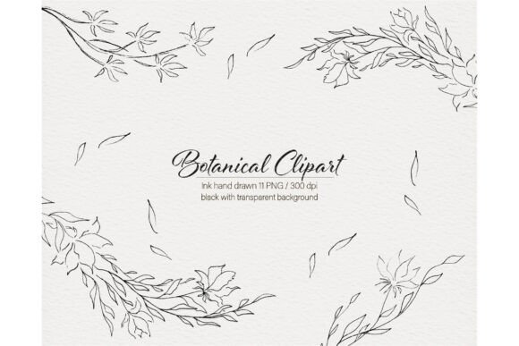 Download Modern Flowers Botanical Hand Drawn - Modern Collection