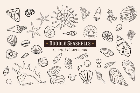 Download 40 Doodle Seashells - Sea Collection