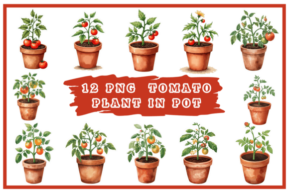 Download Tomatoes Watercolor Clipart Bundle #25 - Premium Resources